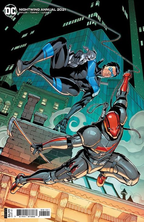 Nightwing And Red Hood, Nightwing And Batgirl, Univers Dc, Arte Dc Comics, Dc Comics Artwork, Batman Universe, Im Batman, Batman Family, Jason Todd