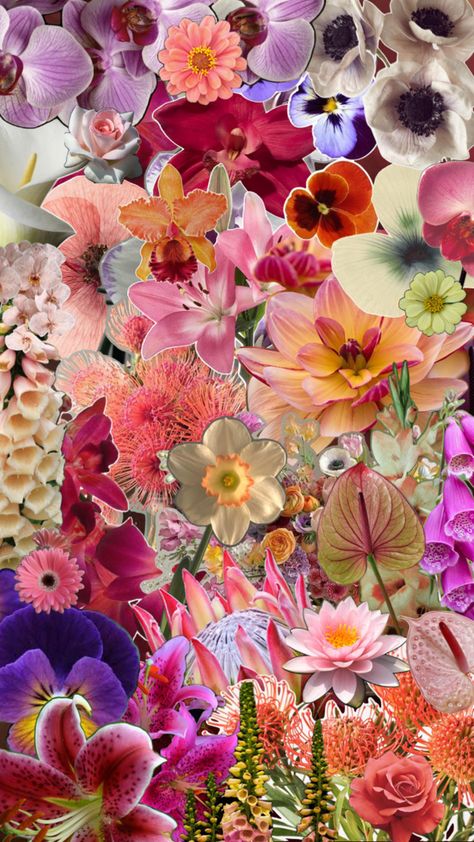 Flowers Collage Aesthetic, Flowers For Collage, Flower Mood Board, Floral Mood Board, Flowers Moodboard, Collage Flowers, Flowers Colourful, Flower Journal, Floral Collage