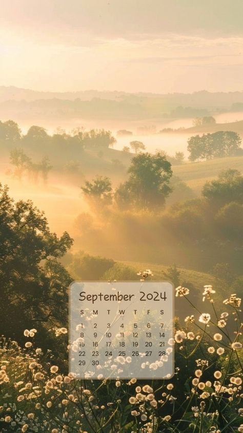 Android Secret Codes, 2024 Calendar, Fall Pictures, Animation Background, Wallpapers Backgrounds, Pretty Wallpapers Backgrounds, Aesthetic Iphone, Iphone Wallpapers, Aesthetic Iphone Wallpaper