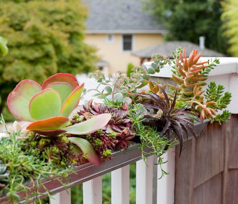 Flower Container Gardening, Diy Railing, Repurposed Planter, Wheelbarrow Planter, Window Planter, Porch Plants, Summer Window, Railing Planters, Container Gardening Ideas