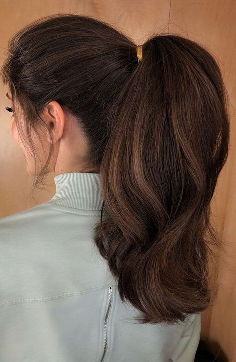 Stylish Ponytail, Pony Hairstyles, Elegant Ponytail, Sleek Ponytail Hairstyles, Long Hair Ponytail, Ponytail Hairstyles Easy, Ponytail Hairstyle, Black Ponytail Hairstyles, Simple Ponytails