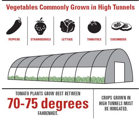 High Tunnels Farming Lengthen Season for Growers High Tunnel Gardening Layout, High Tunnel, Vegetable Farming, Farm Projects, Hydroponic Plants, Hobby Farm, Dairy Farm, Greenhouse Gardening, Dairy Farms