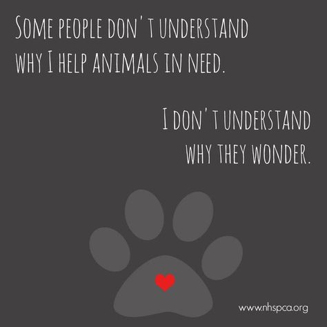 Animal lovers understand perfectly. #adopt #resuce #nhspca #loveanimals. Dog quotes Rescue Dog Quotes, Rescue Quotes, Best Dog Quotes, Dogs Quotes, Dog Tumblr, Quotes Friends, Dog Lover Quotes, Dog Quotes Love, People Dont Understand