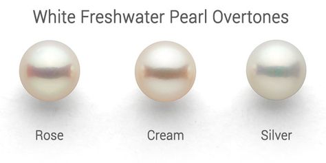 white Freshwater pearl overtones: rose, cream, silver Formal White Pearl Ring With Polished Finish, White Pearl Ring With Polished Finish, Classic Adjustable Pearl White Pearl Ring, Pearl White Shell-shaped Jewelry With Pearl Drop, Luxury Pearl White Round Pearl Ring, Pale Complexion, Slytherin Fashion, Skin Model, Conch Pearl