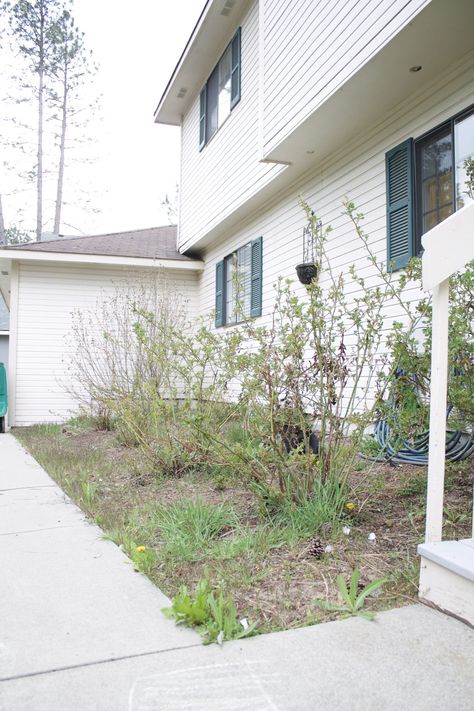 We're taking the One Room Challenge outdoors as we turn our sad rose garden into a front patio area including a water feature and wooden swing. Pea Gravel Patio, Small Front Gardens, Front Flower Beds, Scratch Cooking, Scratch Recipes, Wooden Swing, Diy Budget, Front Patio, Wooden Swings