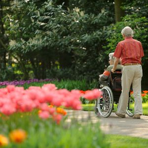 Getting elders outside during the warm spring and summer months can have physical and social benefits. Here are 10 outdoor activities for caregivers and the elderly to do this summer as well as the benefits of going outside. Arts And Crafts For Elderly, Easy Outdoor Activities, Caring For The Elderly, Sensory Gardens, Elderly Caregiver, Nursing Home Activities, Activities For Seniors, Elderly Activities, Activity Director