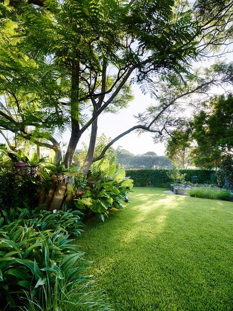 Entertaining Garden, Greenery Plants, Australian House, Tropical Garden Design, Tropical Backyard, Potager Garden, Australian Garden, Luxury Garden, Tropical Landscaping