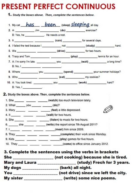 Present Perfect Continuous Exercises, Present Perfect Continuous Worksheets, Present Perfect Tense Exercises, Present Perfect Continuous Tense, Simple Present Tense Worksheets, 6th Grade Activities, Adverbs Worksheet, Present Perfect Continuous, Esl Grammar