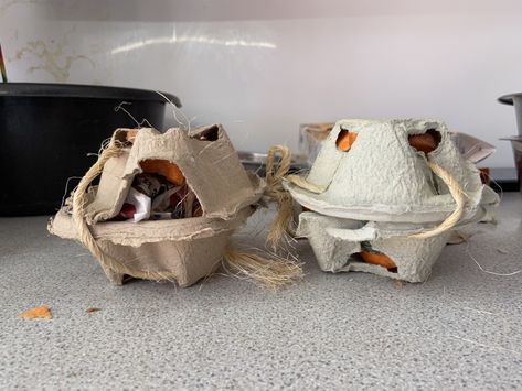 Mouse Enrichment Diy, Rat Enrichment Ideas, Diy Mouse Toys, Toys For Rats, Bird Enrichment, Diy Rat Toys, Hamster Pics, Rat Care, Enrichment Projects