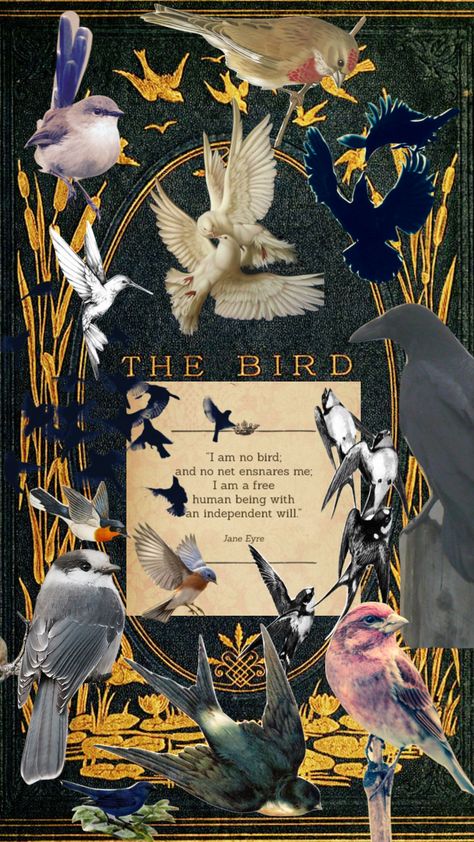 I am no bird #janeeyre #books #birds #classicbooks #vintage Jane Eyre, Bird Theme, Inspiration Boards, Classic Books, Bird Watching, Cover Pages, Phone Backgrounds, Rooster, Mood Board