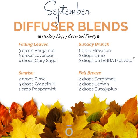 Diffuser Blends Young Living, Marketing Tips And Tricks, Fall Essential Oils, Doterra Blends, Fall Diffuser Blends, Excited For Fall, Cassia Cinnamon, Doterra Diffuser Blends, Essential Oil Safety