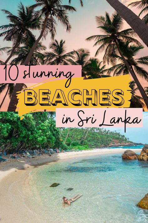 Check out these STUNNING beaches in Sri lanka! Whether you are planning your sri lanka itinerary or just dreaming for future travels, you NEED to add these beaches to your travel bucket list. Sri Lanka Honeymoon, Sri Lanka Itinerary, Sri Lanka Holidays, Sri Lanka Beach, Dolphin Watching, Beach Village, Fresh Coconut, Sri Lanka Travel, Holiday Guide