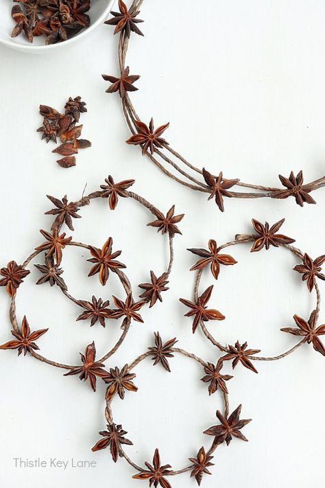 Tree Trimmings Crafts, Hannukah Wreath Diy, Diy Star Anise Wreath, Star Of David Wreath, Star Anise Christmas Ornaments, Star Anise Decorations, Star Anise Christmas Decoration, Star Anise Garland, Star Anise Crafts