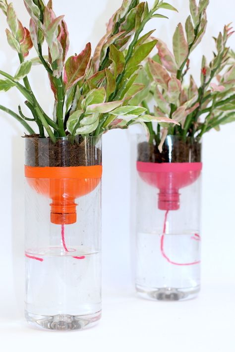 Self Watering Bottle, Diy Self Watering, Diy Self Watering Planter, Plastic Bottle Planter, Self Watering Containers, Creative Planter, Self Watering Plants, نباتات منزلية, Diy Plastic Bottle