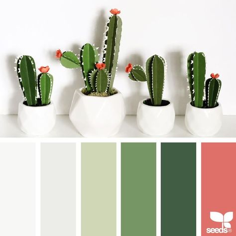 today's inspiration image for { paper cacti } is by @handmadebysarakim ... thank you, Sara, for another incredible #SeedsColor image share! Seeds Color Palette, Design Seed, Cactus Images, Paper Cactus, Seeds Color, Green Color Palette, Color Palette Challenge, Cactus Design, Green Colour Palette