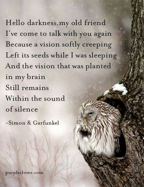 Sound of Silence - Disturbed does a great rendition of this song as well. Sound Of Silence Lyrics, Sound Of Silence Disturbed, Simon And Garfunkel, Sound Of Silence, Lyrics To Live By, Great Song Lyrics, Simon Garfunkel, Greatest Songs, Lyric Quotes