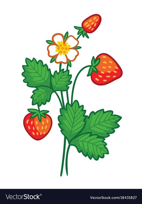 Strawberry Pictures, Strawberry Drawing, Strawberry Tattoo, Plant Cartoon, Planting For Kids, Strawberry Art, Fruits Drawing, Clip Art Pictures, Wild Strawberry