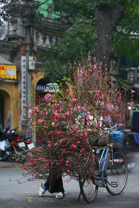 Vietnam Vietnam Photos, Vietnam Village, Hoi An Vietnam Photography, Vietnam Flower Market, Vietnam Floating Market, Good Morning Vietnam, Ancient Vietnam, Beautiful Vietnam, Vietnam Food