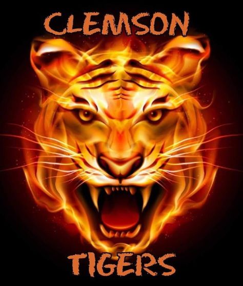 Clemson Tigers, still #1 Clemson Tigers Wallpaper, Tigers Wallpaper, Dragon Wallpapers, Cool Tiger, Dragon Wallpaper, Tiger Wallpaper, Clemson Tigers, Wallpaper Download, Couple Images