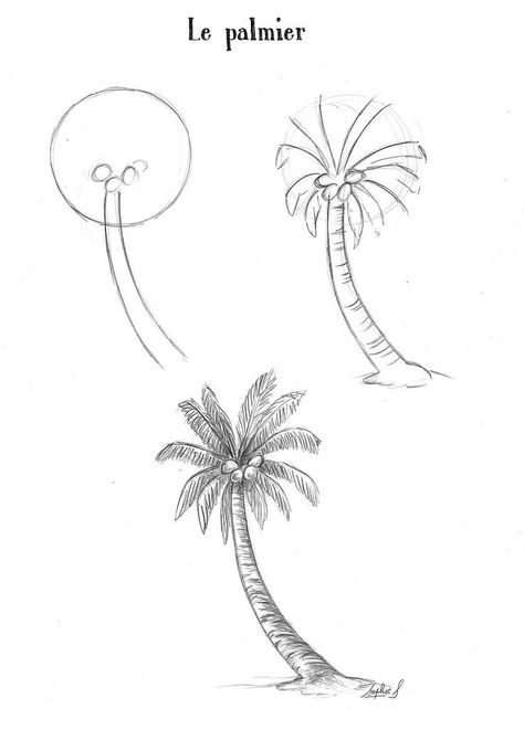 How To Draw A Tree, Trees Drawing Tutorial, Landscape Drawing Tutorial, Palm Tree Drawing, Tutorial Painting, Pencil Drawings For Beginners, Tree Drawings Pencil, Flower Drawing Tutorials, Character Artist