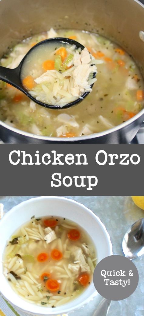 Best Chicken Orzo Soup Recipe, Creamy Chicken Orzo Soup Recipes, Plain Chicken Soup Recipes, Easy Orzo Soup, Chicken Soup With Orzo Pasta, Greek Chicken Orzo Soup, Chicken Orzo Recipes Soup, Chicken Noodle Soup With Orzo, Chicken Orzo Soup Crockpot