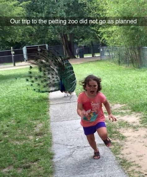 26 People Who Are Having A Way, Way Worse Day Than You Softball Memes, Softball Funny, Worst Day, Desk Shelves, Girl Running, Having A Bad Day, Dark Souls, Zoo Animals, Pokemon Go