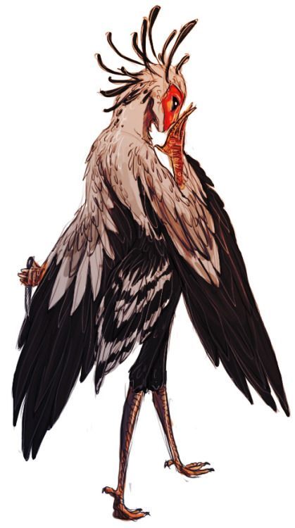 Bird People Drawing, Bird Person Character Design, Secretary Birds, Anime Bird, Bird Monster, Megaloceros Giganteus, Bird Person, Secretary Bird, Creature Fantasy