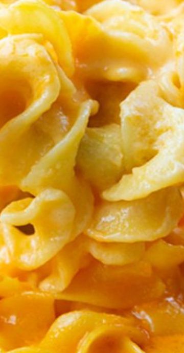 Cheesy Egg Noodles Recipes, Cheesy Egg Noodles, Egg Noodle Mac And Cheese, Cheesy Noodles Recipes, Colorado Recipes, Cheesy Noodles, Party Collage, Easy Mac N Cheese, Egg Noodle Recipes