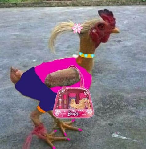 cute Chicken Animal Funny, Funny Chicken Photos, Cursed Squirrel Images, Chicken Funny Picture, Twerking Chicken, Momo Chicken Lady Scary, Chicken Memes Humor, Cursed Chicken, Goofy Chicken