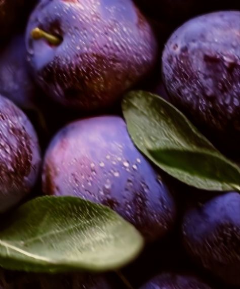 Purple Berries Aesthetic, Professor Plum Aesthetic, Plum Aesthetic Color, Plum Pudding Aesthetic, Plum Purple Aesthetic, Plum Color Aesthetic, Plums Aesthetic, Plum Pudding Strawberry Shortcake, Fruit Poetry