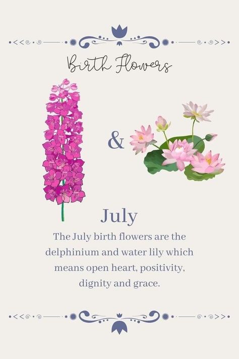 July Birth Flowers, Birth Flower For July, Flower For July, Wildflower Tattoos, Lily Meaning, Larkspur Tattoo, Symbols Meaning, Water Lily Tattoos, July Birth Flower