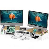 Desk Dual Monitor, Rising Desk, Dual Monitor Setup, Dual Monitor Stand, Cubicle Decor Office, Ipad Holder, Dual Monitor, Cubicle Decor, Monitor Stand