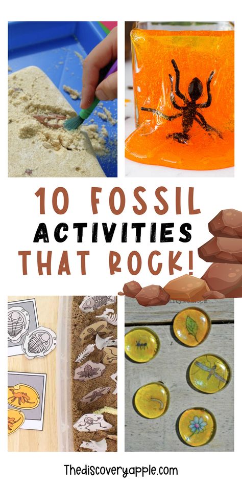 Lets go on a journey through time with these 10 awesome fossil activities for kids! From digging up fake dinosaur bones to creating your own fossil replicas, these hands-on experiments promise fun and learning for young explorers. Perfect for sparking curiosity and imagination! These activities are sure to make learning about fossils an unforgettable experience for your students or children! Fossils Science Project, Arizona Activities For Preschool, Dinosaur Fossil Preschool Activities, Dinosaur Fossil Activity, Dino Fossil Craft, Grand Canyon Activities For Kids, Fossil Crafts For Kids, Paleontology Activities For Kids, Dinosaur Science Activities