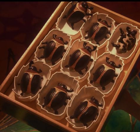 Coraline Chocolate Beetles, Coraline Scenes, Coraline Food, Coraline Core, Coraline Birthday, Laika Studios, Coraline Art, Coraline Movie, Coraline Aesthetic