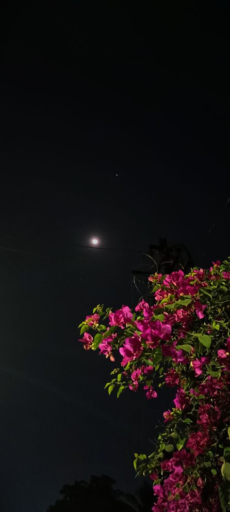 Flowers to the moon Waiting Aesthetic Pictures, Instagram Story Night, Late Night Sky, Aesthetic Night Snaps, Late Night Streaks, Night Walk Prank, Evening Walk Insta Story, Night Walk Pictures, Late Night Aesthetic Wallpaper