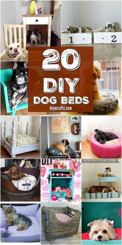 Man's best friend needs a comfortable place to rest and sleep! You need a dog beds and dog crates that are not an eye sore in your beautiful home!  Make great dog beds yourself with these 20 Easy DIY Dog Beds and Crates That Let You Pamper Your Pup! {With tutorial links} #diyncrafts #dogbeds #dogcrates #puppies #dogs #pets #DIY #DIYpetbeds Diy Dog Bed Pillow, Diy Dog Beds, Easy Dog Bed, Dog Enclosure, Cat Bedding, Pallet Dog Beds, Diy Pet Bed, Dogs Diy Projects, Dog Outfits