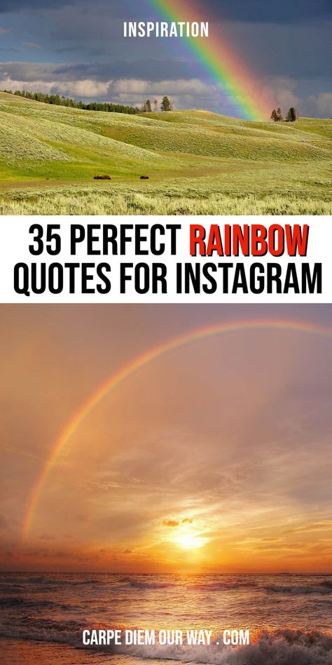 35+ Perfect Quotes for rainbows and Rainbow captions for Instagram | Rainbow captions instagram funny | inspirational rainbow captions | beach rainbow captions | rain and rainbow captions Rainbow Funny Quotes, Rain And Rainbow Quotes, Chasing Rainbows Quotes, Rainbow Instagram Captions, Quotes About Rainbows Inspirational, Storm Captions, Rainbow Quotes Inspirational Short, Rainbow After The Storm Quote, Rainbow Quotes Instagram