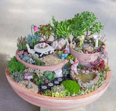 Cactus Composition, Garden With Succulents, Succulent Fairy Garden, Make A Fairy Garden, Succulent Garden Ideas, Succulent Diy, Kaktus Dan Sukulen, Make A Fairy, Fairy Garden Flowers