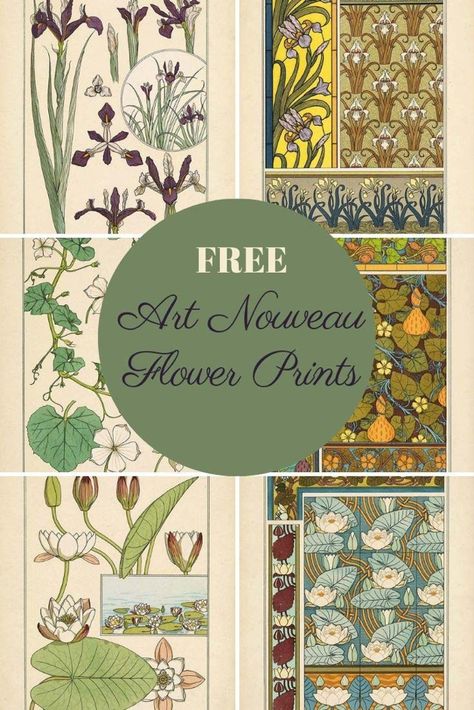 French Illustration Art, Free Pictures To Download, Art Nouveau Flowers Illustration, Fiori Art Deco, Fleurs Art Nouveau, Font Love, Art Deco Flowers, Motifs Art Nouveau, Art Nouveau Pattern