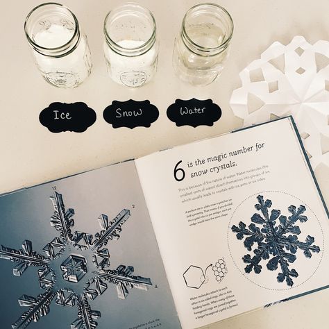 Snow Science Activities for Kids! Fun and simple snowflake experiments for kids.  #homeschool #scienceexperiments #sciencekids #snowflakes Crystal Snowflakes For Kids, Snowflake Experiments For Kids, Snow Experiments For Kids, Advertising Major, Snowflake Science, Learning Invitations, Snowflake Activities, Microscope Activity, Snowflakes Science