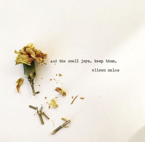 The small joys. [alison malee] Small Poetic Quotes, Short Caption For Happy Moments, Small Joys Quotes, Spring Quotes Aesthetic Short, Wild Flower Quotes Short, Wildflower Quotes Short, Short Flower Quotes, Small Thoughts, Wild Flower Quotes