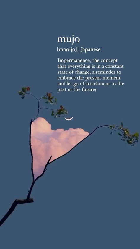 Aarzoo Batra | Leave a 🌙 if you needed this reminder. Beautiful video by @hq_chann . . . . #impermanence #letgoofcontrol #letgo #awaken #highfrequency… | Instagram Abundance Meditation, Breath Affirmations, Zen Buddhism Quotes, Buddha Enlightenment Art, Impermanence Quotes Buddha, Spiritual Growth, Need This, Spiritual Awakening, Buddhism