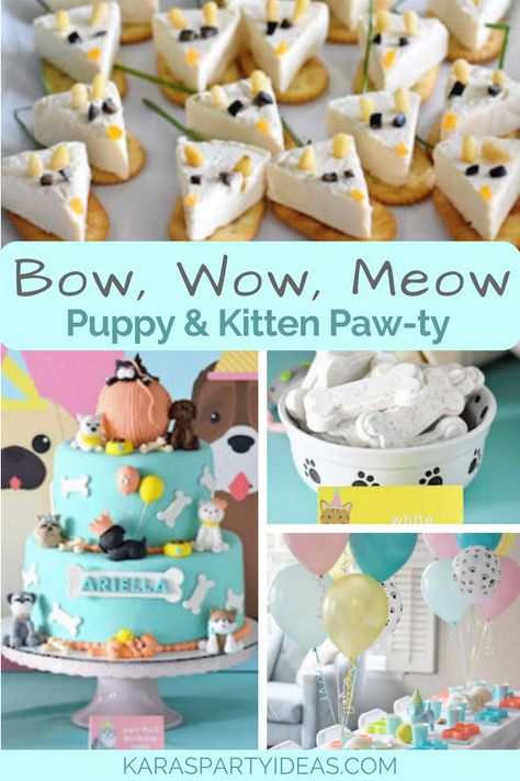 Dog And Cat Birthday Party, Cat Dog Birthday Party, Dog And Cat Birthday Party Ideas, Pet Party Ideas For Kids, Cat And Dog Themed Birthday Party, Kitty And Puppy Birthday Party, Cats And Dogs Birthday Party, Puppy Kitty Birthday Party, Pet Themed Birthday Party