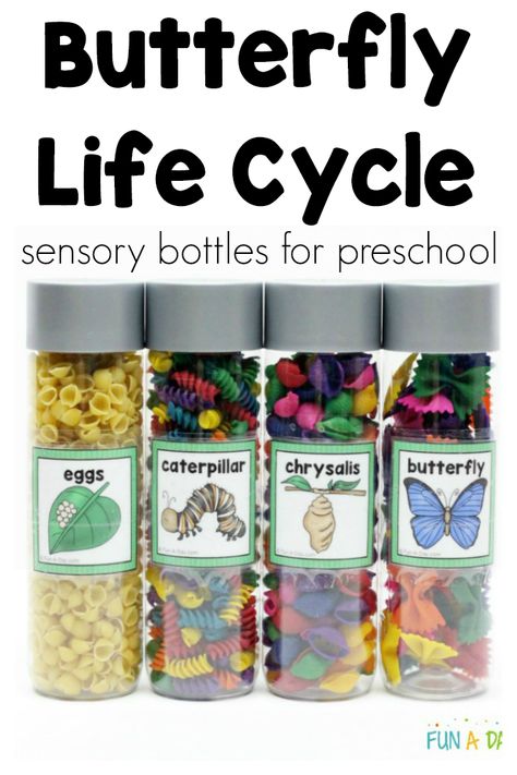 What gorgeous butterfly sensory bottles for preschool and kindergarten kids! I think these butterfly life cycle sensory jars would be great for a preschool butterfly theme or an insect theme. Save the materials to reuse them again and again. LOVE that it includes a free printable! #FunADay #PreschoolActivities #ButterflyCrafts #FreePrintable #Preschoolers #Spring #SensoryActivities Sensory Kindergarten, Preschool Butterfly Theme, Butterfly Preschool, Preschool Butterfly, Spring Theme Preschool, Hungry Caterpillar Activities, Preschool Sensory, How To Make Butterfly, Insects Preschool