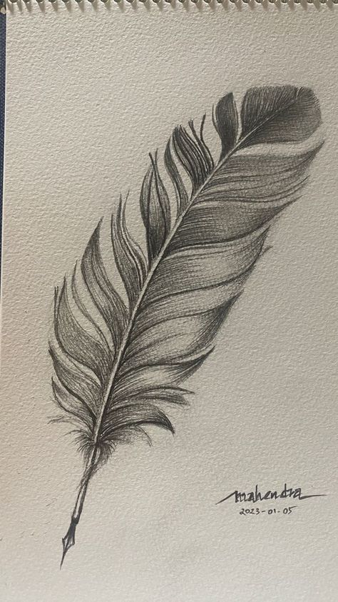 Feather Drawing Simple, Ballpoint Pen Drawing Sketches, Quill Drawing, Feather Drawings, Feather Art Drawing, Feathers Drawing, Feather Sketch, Feather Outline, Line Art Lesson