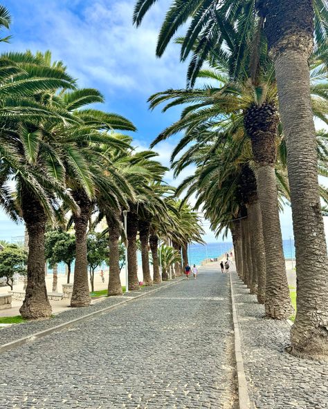 PORTO SANTO 💚🩵 É uma ilha dourada, famosa pela sua praia de areia de nove quilómetros. A mais pequena ilha habitada do Arquipélago da Madeira está apenas a uma hora e meia de voo de Lisboa. O clima do Porto Santo, moderado durante todo o ano e com uma temperatura do mar que oscila entre os 17ºC e os 22ºC. As ruas ladeadas de palmeiras e buganvílias são ideais para agradáveis e relaxantes passeios. 🏝️🌴 . . . . #funchal #caniço #santacruz #portugal #pt #ilhadamadeira #visitmadeira #casas ... Portuguese Architecture, Funchal, Quick Saves