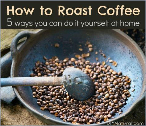 How To Roast Coffee Beans: 5 Ways to Roast Your Own Coffee At Home Raw Coffee Beans, Kinds Of Beans, Coffee Bean Grinder, How To Roast, French Press Coffee Maker, Coffee Grinds, Coffee At Home, Roast Coffee, Roasted Coffee Beans