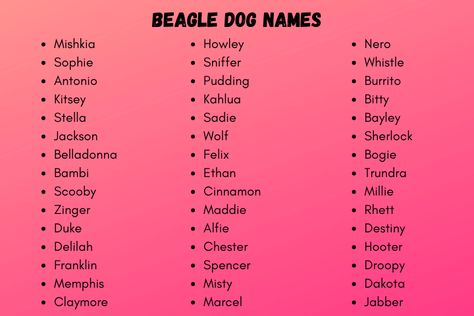 Beagle Puppy Names, Puppy Litter Theme Names, Beachy Dog Names, Unusual Dog Names, Disney Dog Names Boys, Beagle Names, Beagle Dog Facts, Girl Dog Names, Female Dog Names