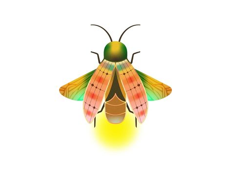 Lightning Bug Illustration, Firefly Illustration, Art Brainstorm, Bug Illustration, Firefly Art, Lightning Bug, Graphic Elements, Firefly, Bugs