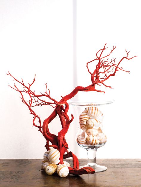 Simple Centerpiece Ideas, Bahamas Style, Coral Centerpieces, Simple Centerpiece, Manzanita Branches, Orchid Centerpieces, Simple Centerpieces, Branch Decor, Centerpiece Ideas